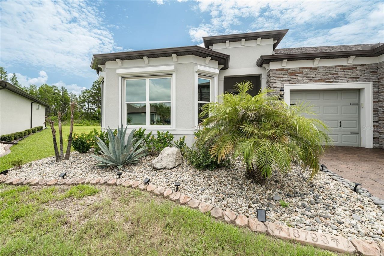 18793 Horizon View Point , Land O Lakes, FL 34638 Photo