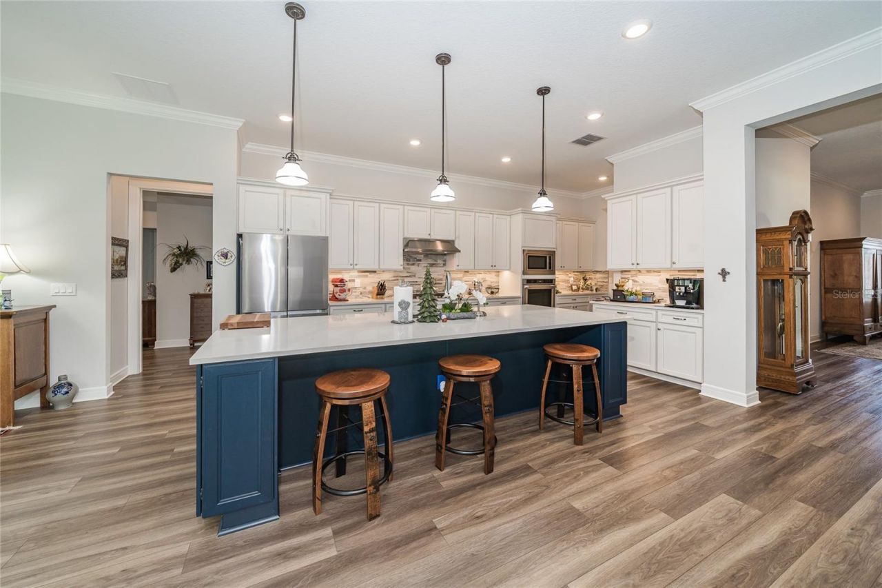 18793 Horizon View Point , Land O Lakes, FL 34638 Photo