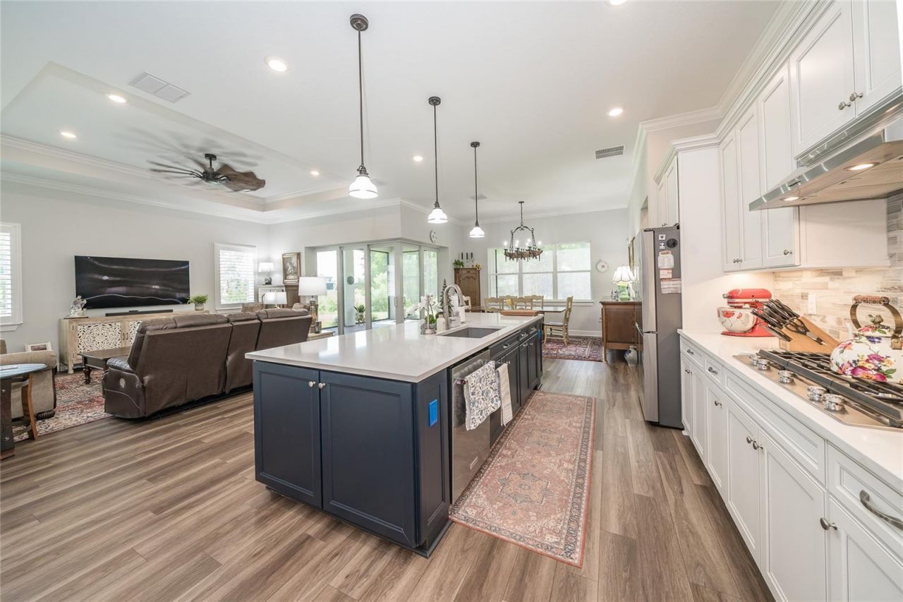 18793 Horizon View Point , Land O Lakes, FL 34638 Photo