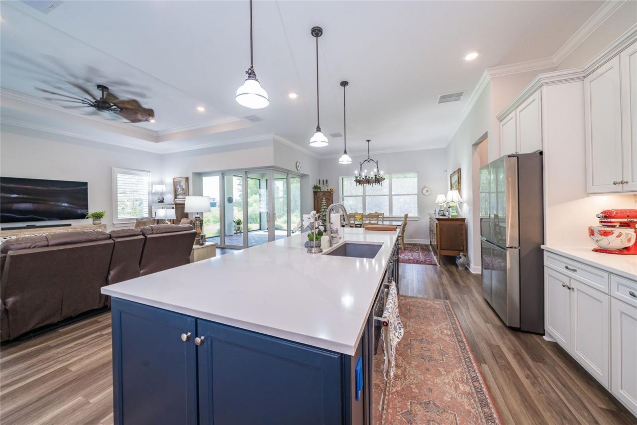 18793 Horizon View Point , Land O Lakes, FL 34638 Photo