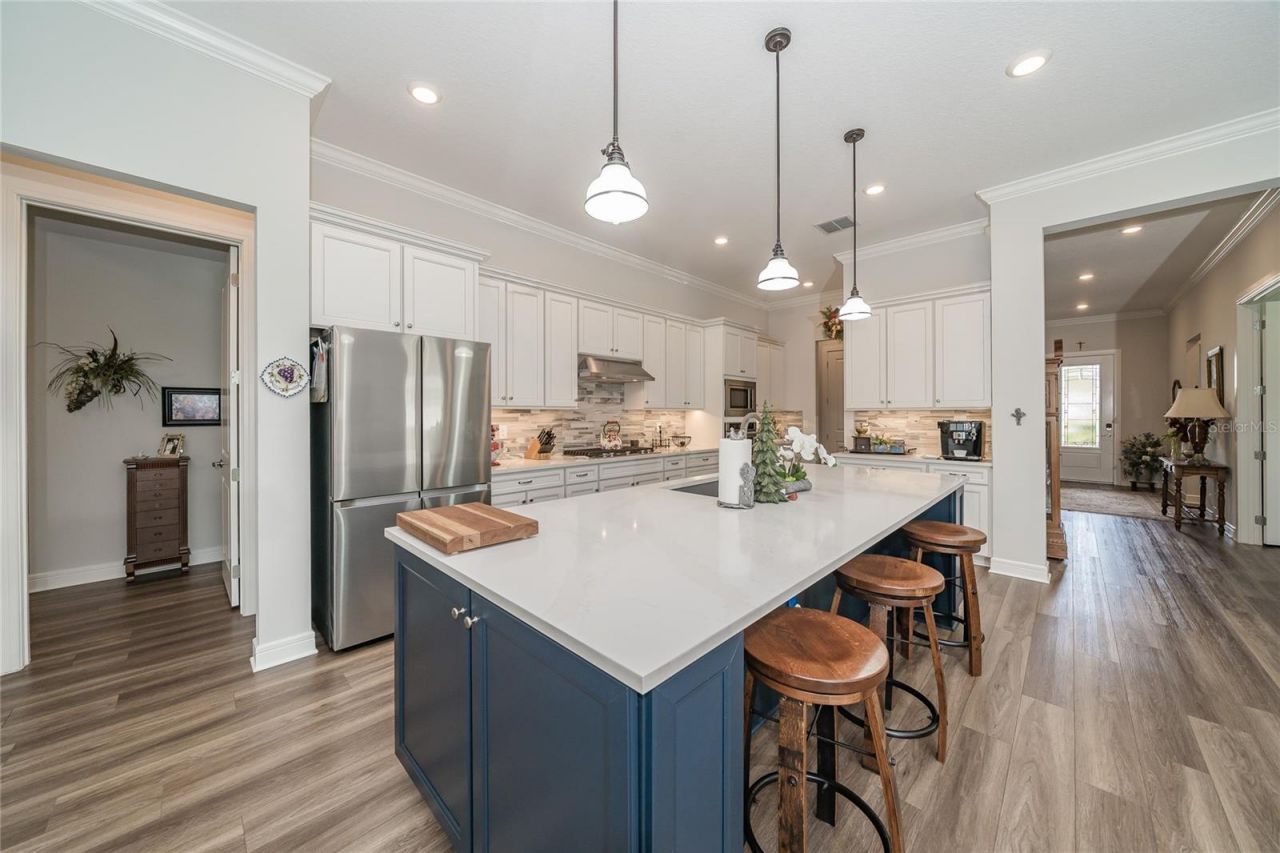 18793 Horizon View Point , Land O Lakes, FL 34638 Photo