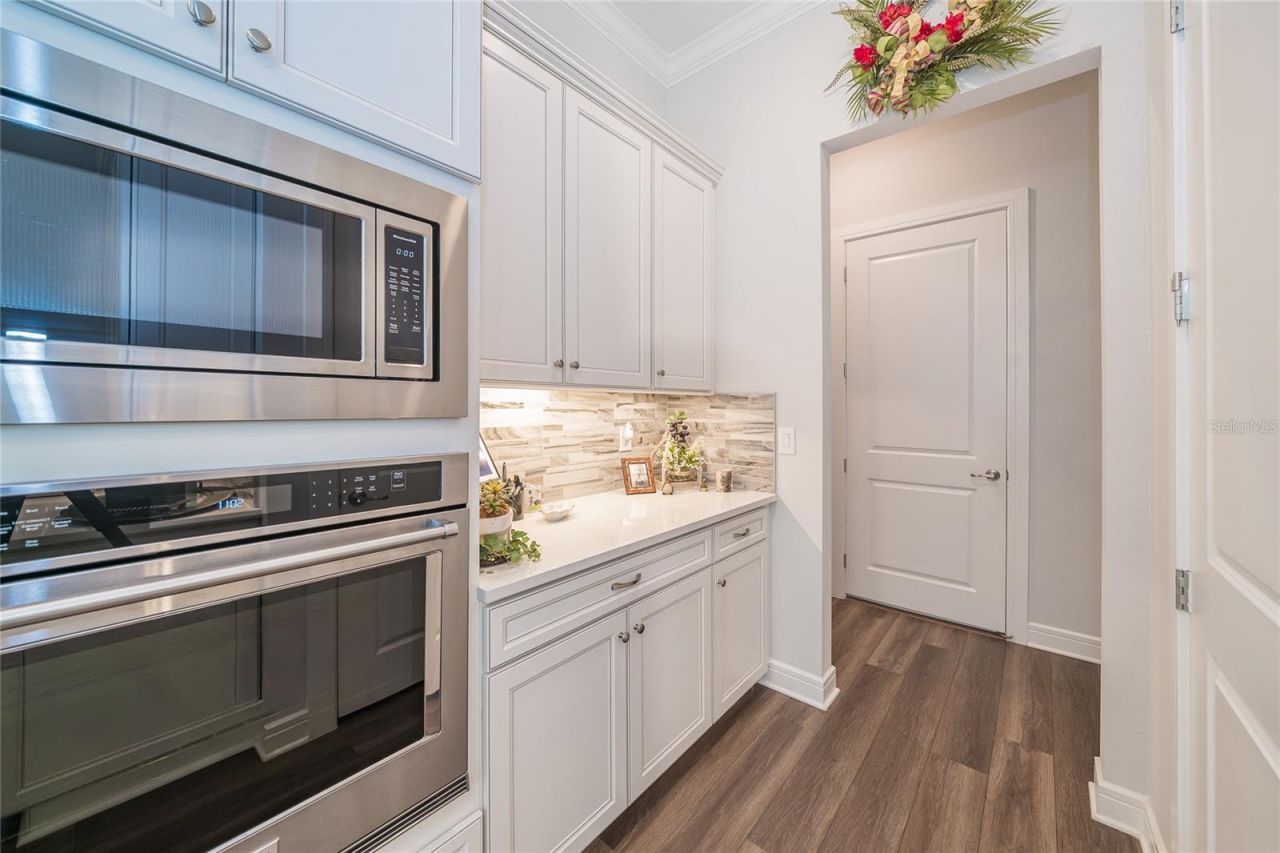 18793 Horizon View Point , Land O Lakes, FL 34638 Photo