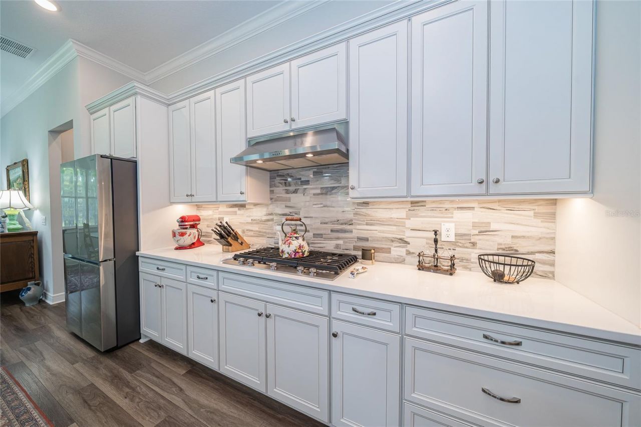 18793 Horizon View Point , Land O Lakes, FL 34638 Photo