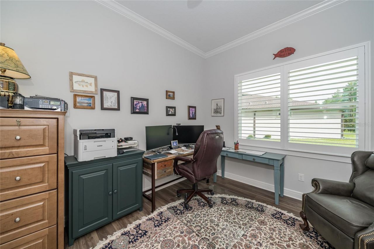 18793 Horizon View Point , Land O Lakes, FL 34638 Photo