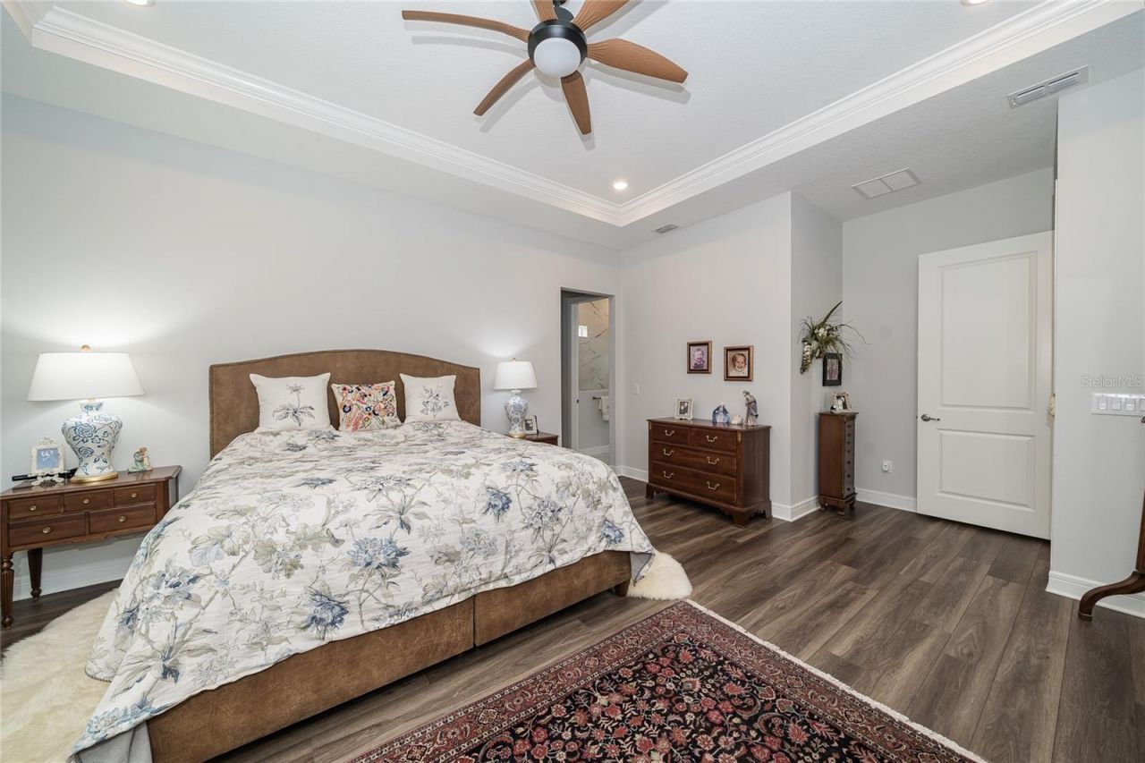 18793 Horizon View Point , Land O Lakes, FL 34638 Photo
