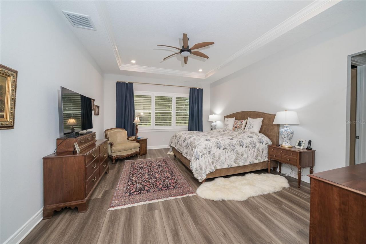 18793 Horizon View Point , Land O Lakes, FL 34638 Photo