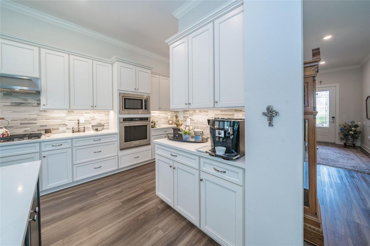 18793 Horizon View Point , Land O Lakes, FL 34638 Photo