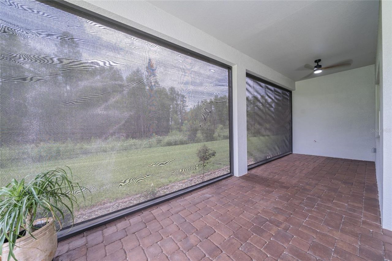 18793 Horizon View Point , Land O Lakes, FL 34638 Photo