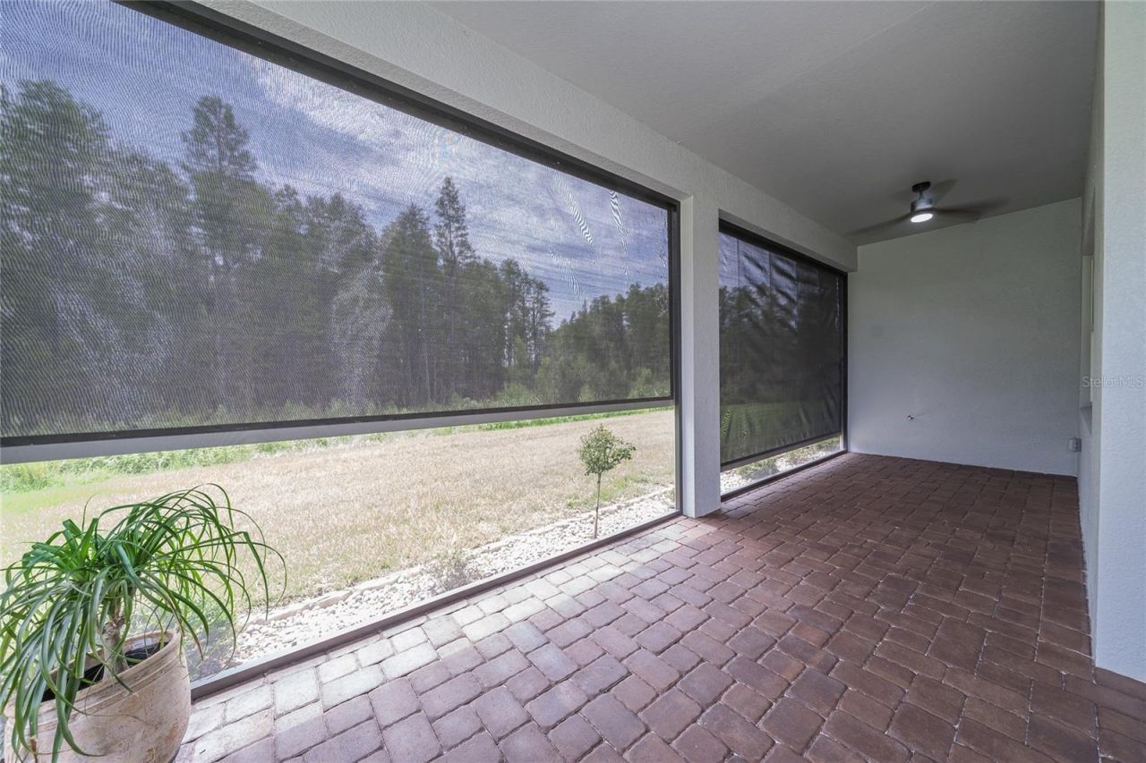 18793 Horizon View Point , Land O Lakes, FL 34638 Photo