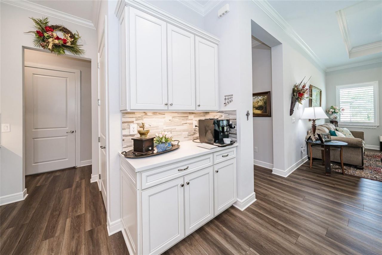 18793 Horizon View Point , Land O Lakes, FL 34638 Photo