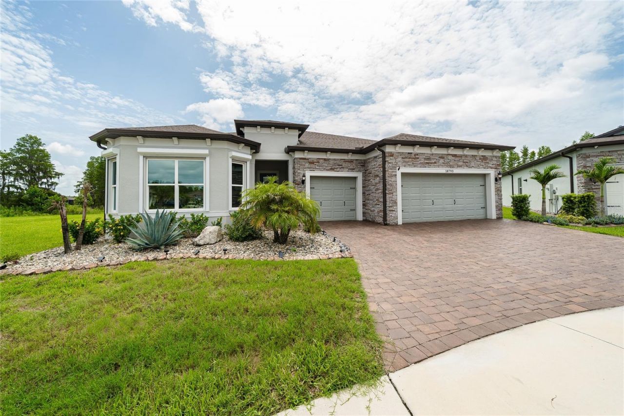 18793 Horizon View Point , Land O Lakes, FL 34638 Photo