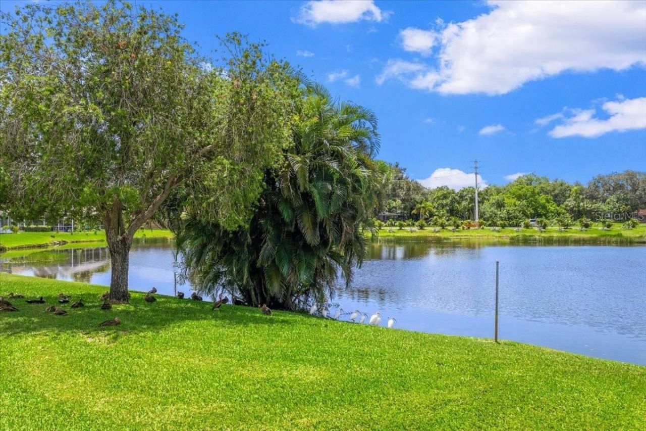 1920 54th Street W, Bradenton, FL 34209 Photo