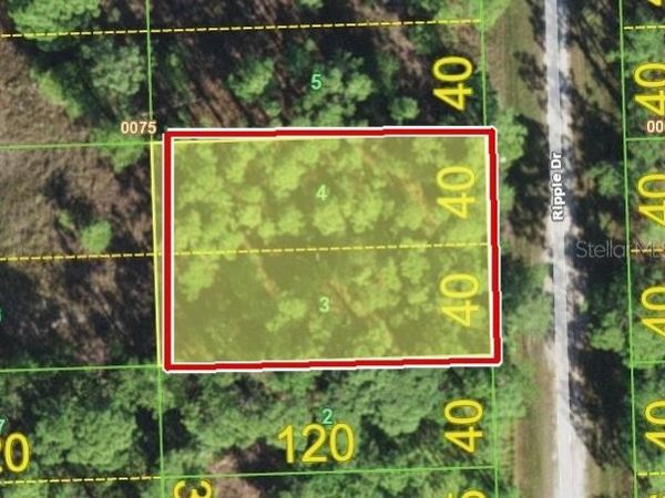 12353 RIPPLE DRIVE , PUNTA GORDA, FL 33955