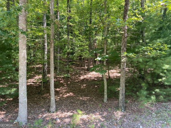 6.93 AC Timber Ridge Road, Blairsville, GA 30512