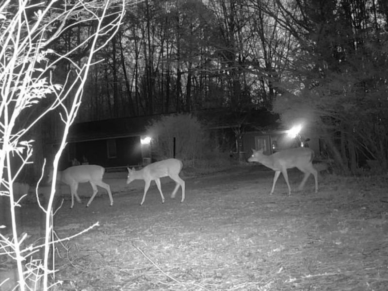 33111 Township Road 490, Killbuck, OH 44637 Photo 1