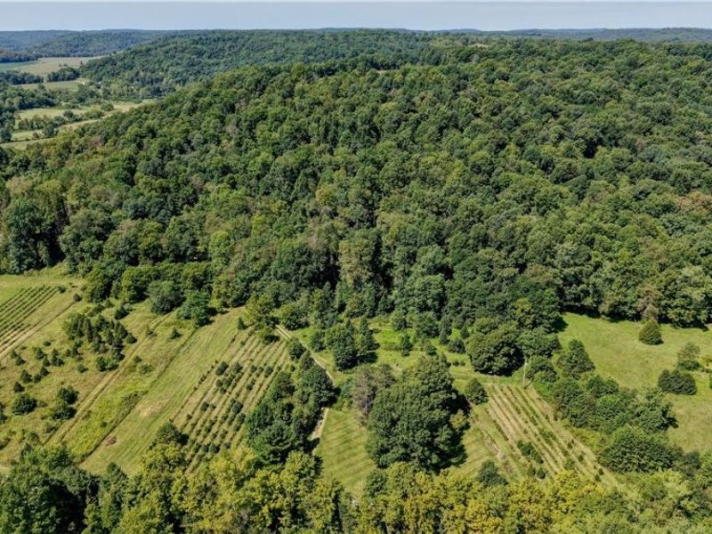 33111 Township Road 490 , Killbuck, OH 44637 Photo 10