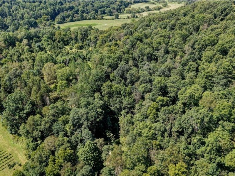 33111 Township Road 490 , Killbuck, OH 44637 Photo 11