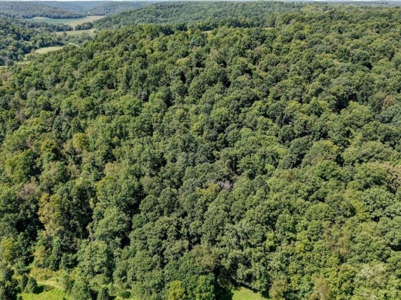 33111 Township Road 490 , Killbuck, OH 44637 Photo 12