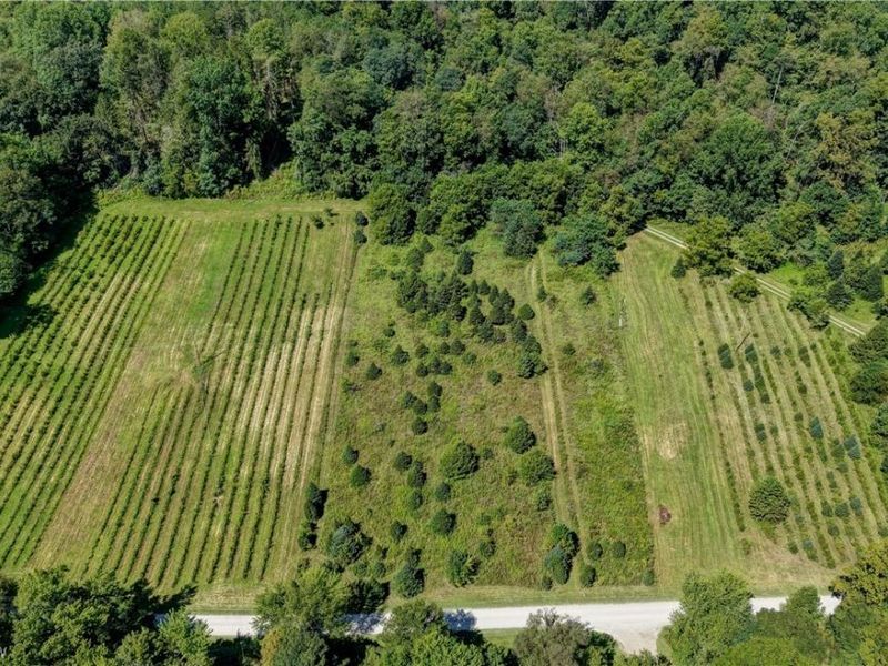 33111 Township Road 490, Killbuck, OH 44637 Photo 14