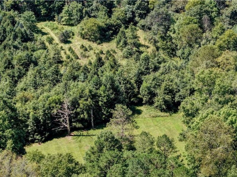 33111 Township Road 490, Killbuck, OH 44637 Photo 18
