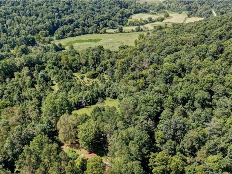 33111 Township Road 490, Killbuck, OH 44637 Photo 19