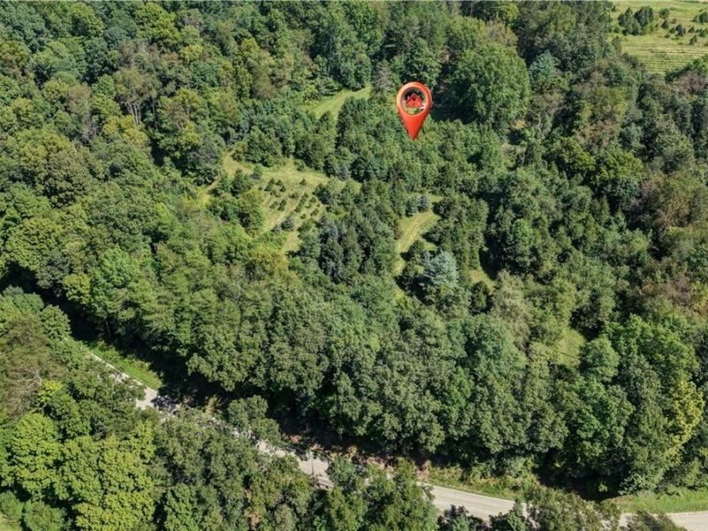 33111 Township Road 490, Killbuck, OH 44637 Photo 2