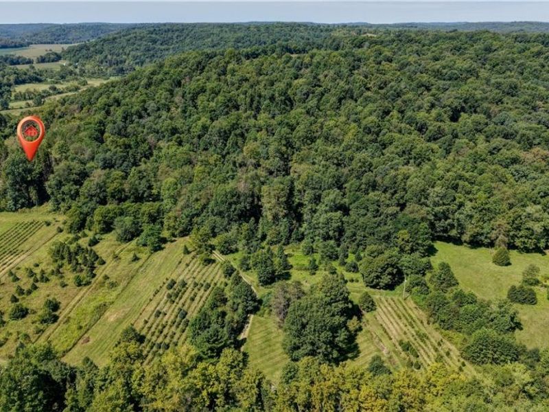 33111 Township Road 490 , Killbuck, OH 44637 Photo 2