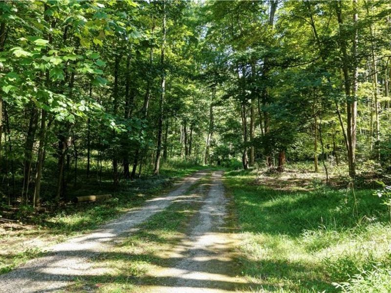 33111 Township Road 490 , Killbuck, OH 44637 Photo 21