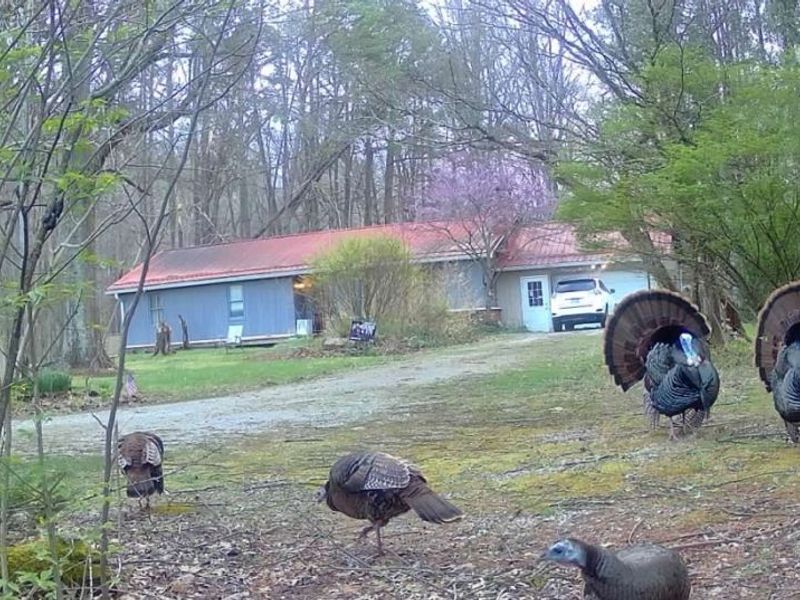 33111 Township Road 490, Killbuck, OH 44637 Photo 3