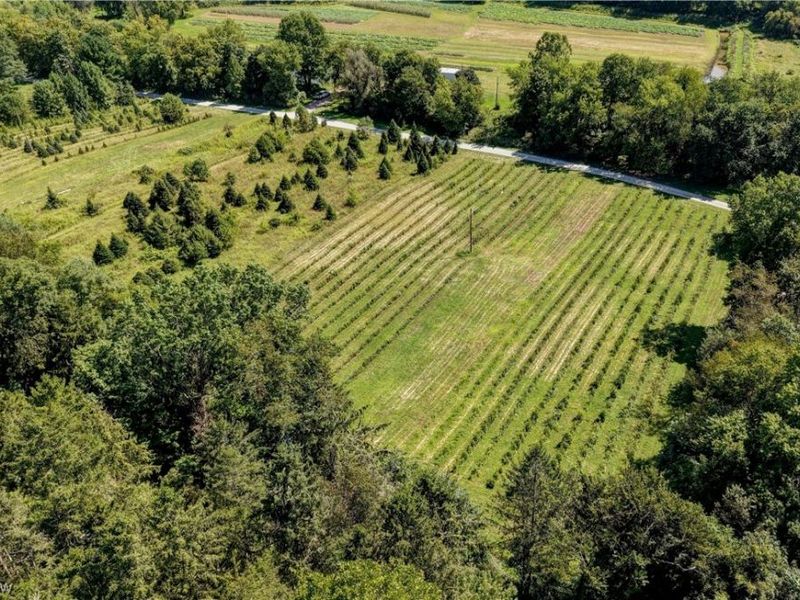 33111 Township Road 490 , Killbuck, OH 44637 Photo 3