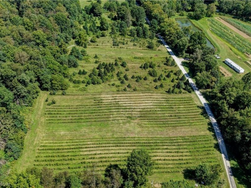 33111 Township Road 490 , Killbuck, OH 44637 Photo 7