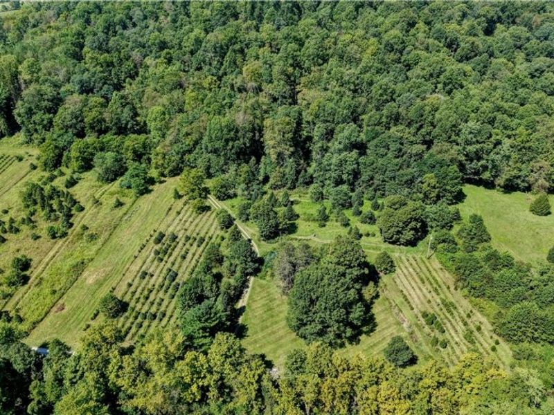 33111 Township Road 490 , Killbuck, OH 44637 Photo 9