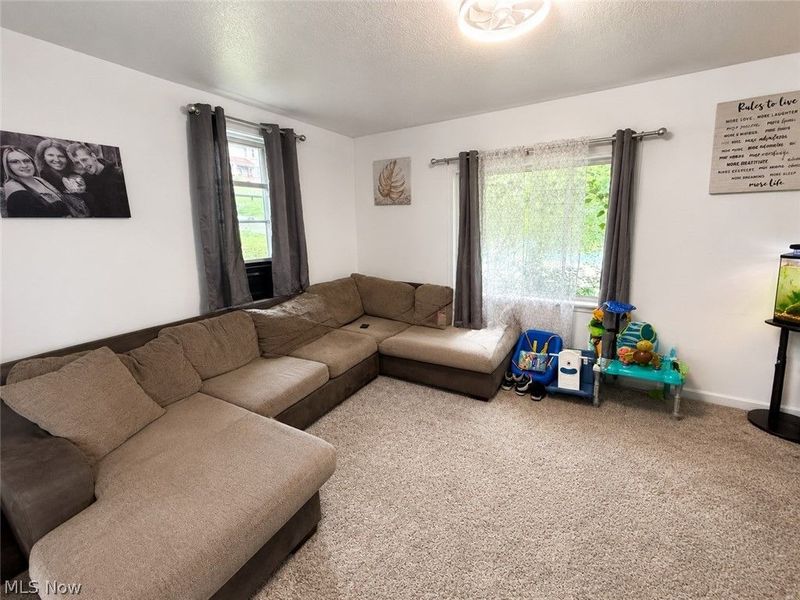 417 N Sumner Street, East Palestine, OH 44413 Photo 7