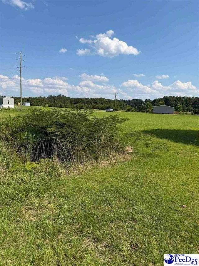 Tbd Stirckland Rd Lot 2 Photo 4