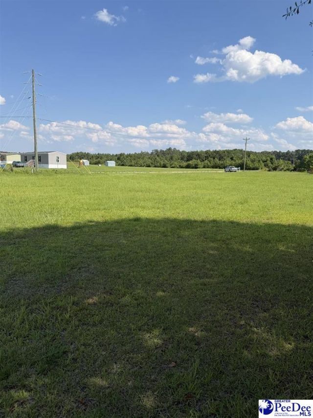 Tbd Stirckland Rd Lot 2 Photo 5