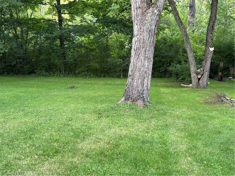 9505 N Bedford Road, Unit Lot 34, Macedonia, OH 44056 Photo 12