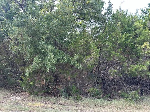 18038 & 18039 Southhill Drive , Whitney, TX 76692