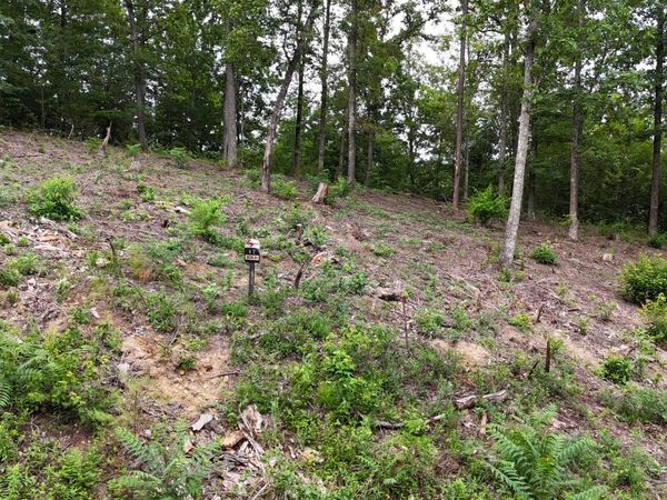 Lot 42 Bayside, Bean Station, TN 37708