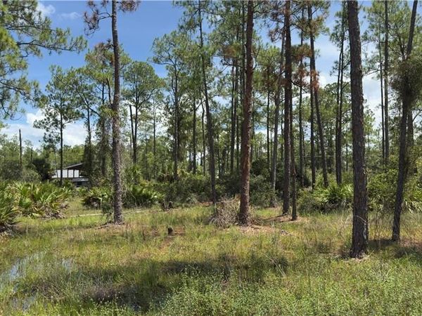 2210 Truman AVE , ALVA, FL 33920