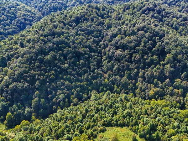 Tbd Lone Star Road, Bristol, VA 24202