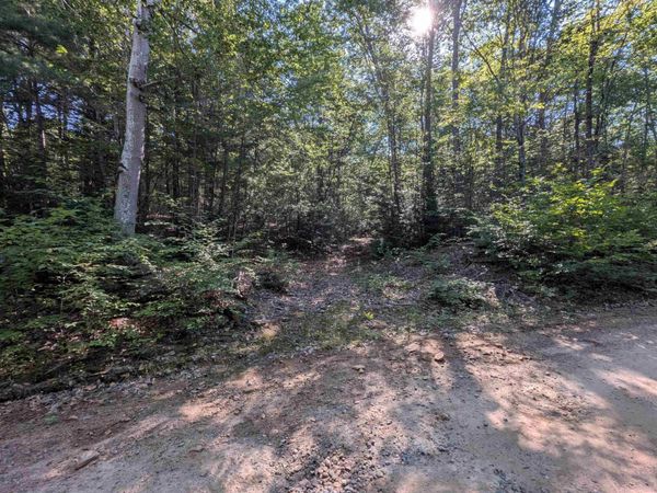 Map 41 Lot 25 Jewett Road, Weare, NH 03281