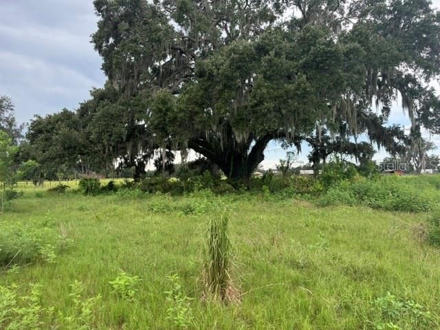 2231 Cr 543, Sumterville, FL 33585 Photo