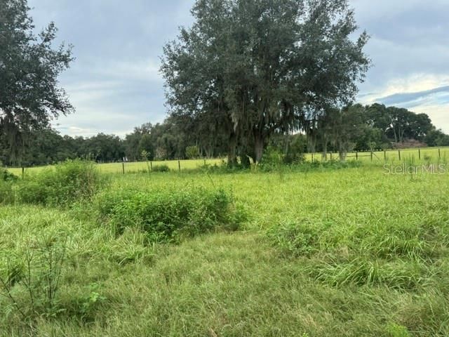 2231 Cr 543, Sumterville, FL 33585 Photo