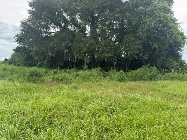 2231 Cr 543, Sumterville, FL 33585 Photo