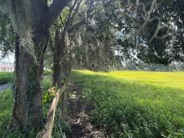 2231 Cr 543, Sumterville, FL 33585 Photo