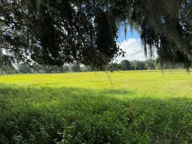 2231 Cr 543, Sumterville, FL 33585 Photo