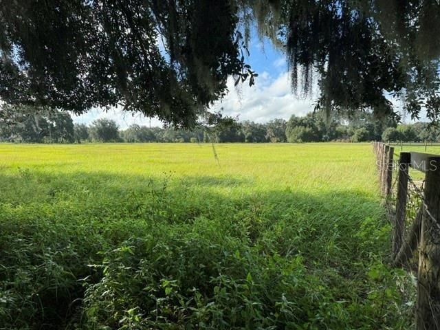 2231 Cr 543, Sumterville, FL 33585 Photo