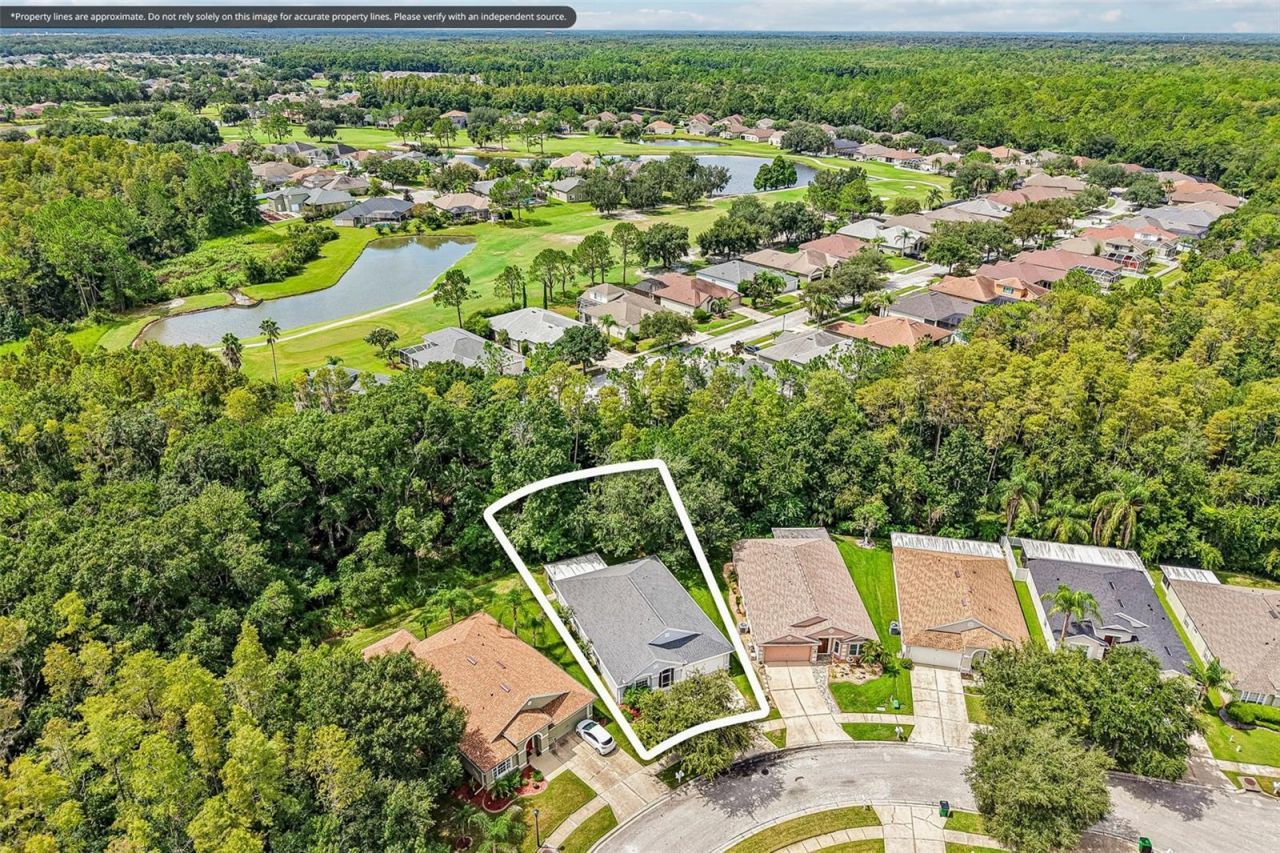 5854 Count Turf Lane, Wesley Chapel, FL 33544 Photo