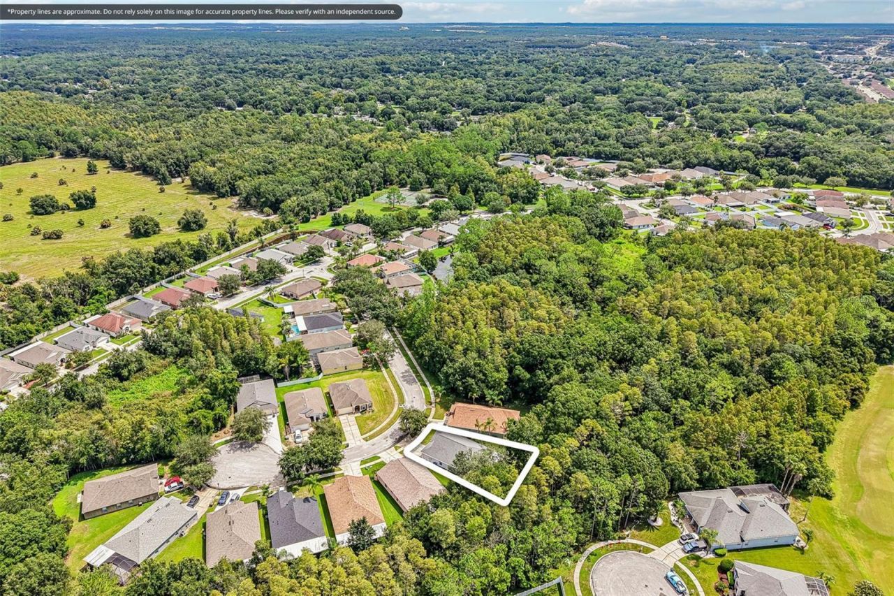 5854 Count Turf Lane, Wesley Chapel, FL 33544 Photo