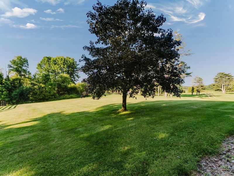 16850 Peerless Road, Centerburg, OH 43011 Photo 81